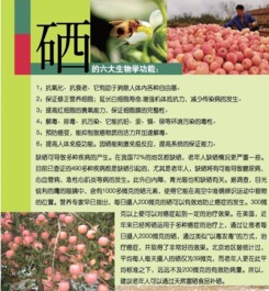 富硒健康禮，聚匯網(wǎng)上選——煙臺人的品質(zhì)生活新標(biāo)桿